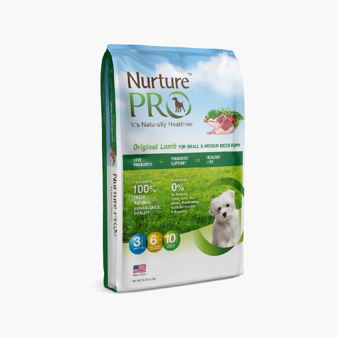 hypersensitive dog food