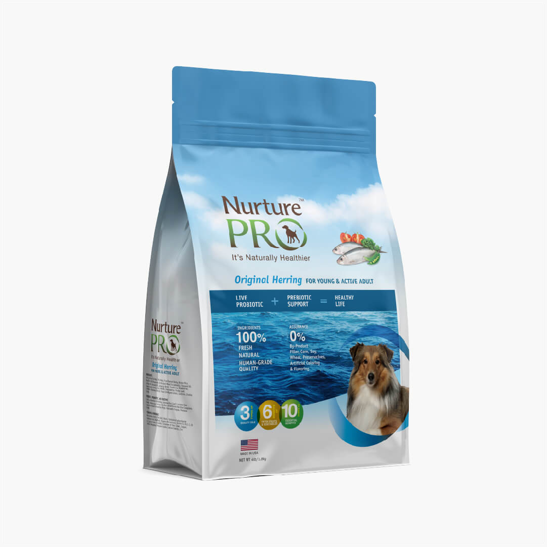 nature pro dog food